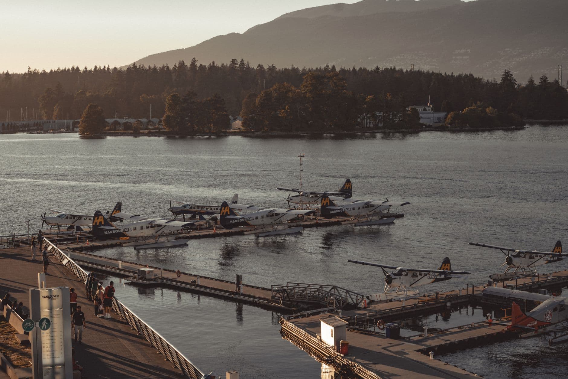 A line of floatplanes at a coastal base at golden hour.