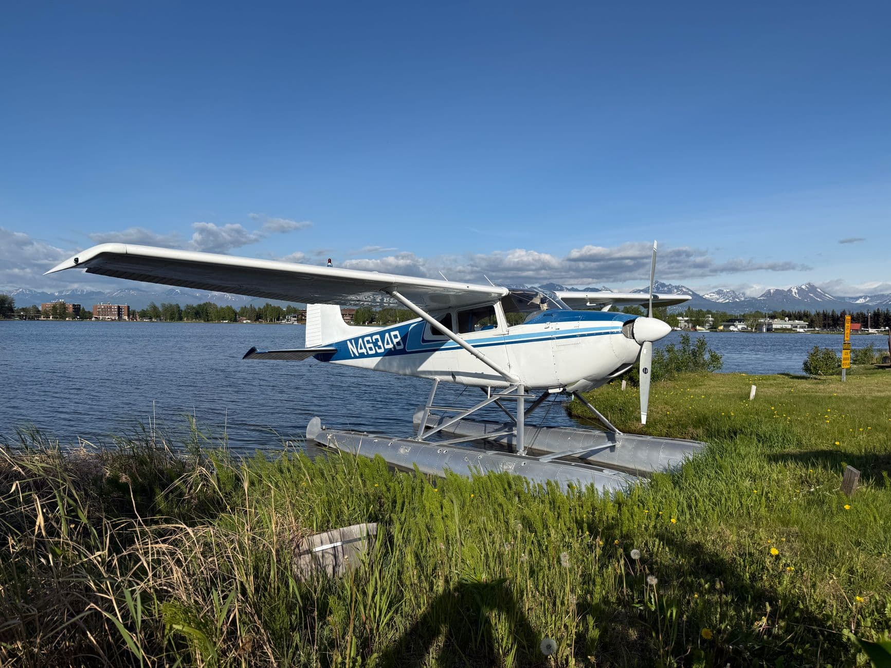 A bush floatplane on a grassy lakeshore with mountains behind.